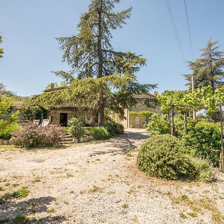 Appartamento Gemma Verde-Tavoleto Castiglione dʼOrcia المظهر الخارجي الصورة