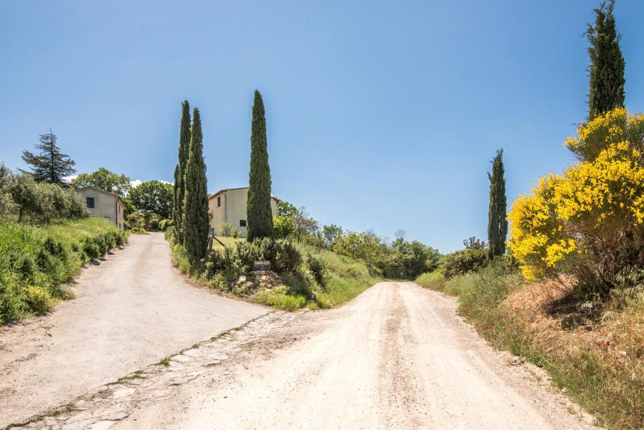 Appartamento Gemma Verde-Tavoleto Castiglione dʼOrcia المظهر الخارجي الصورة